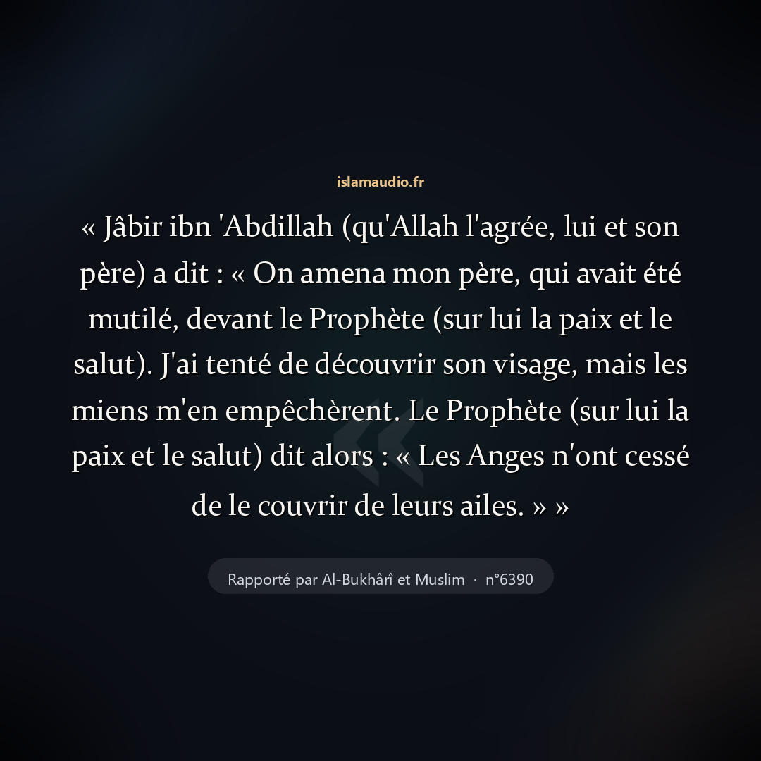 Aperçu du hadith