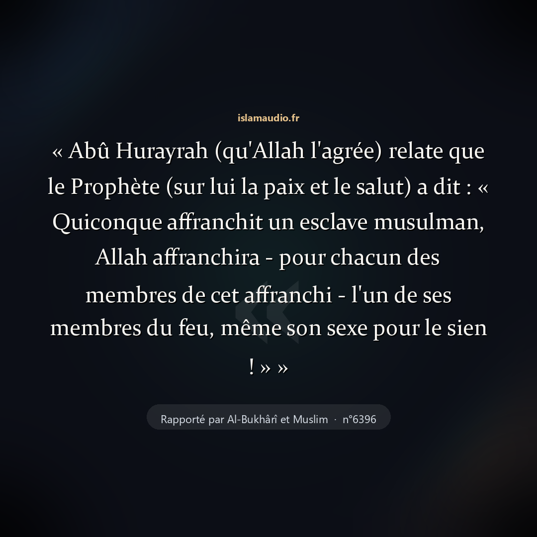 Aperçu du hadith
