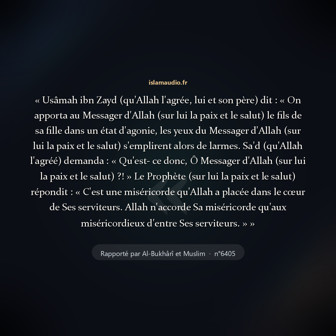 Aperçu du hadith