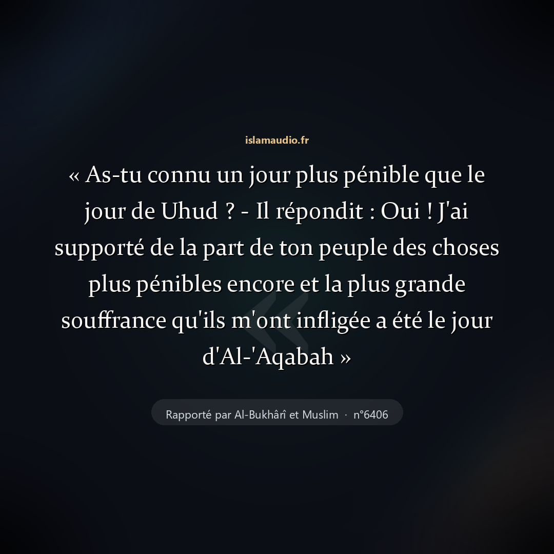Aperçu du hadith