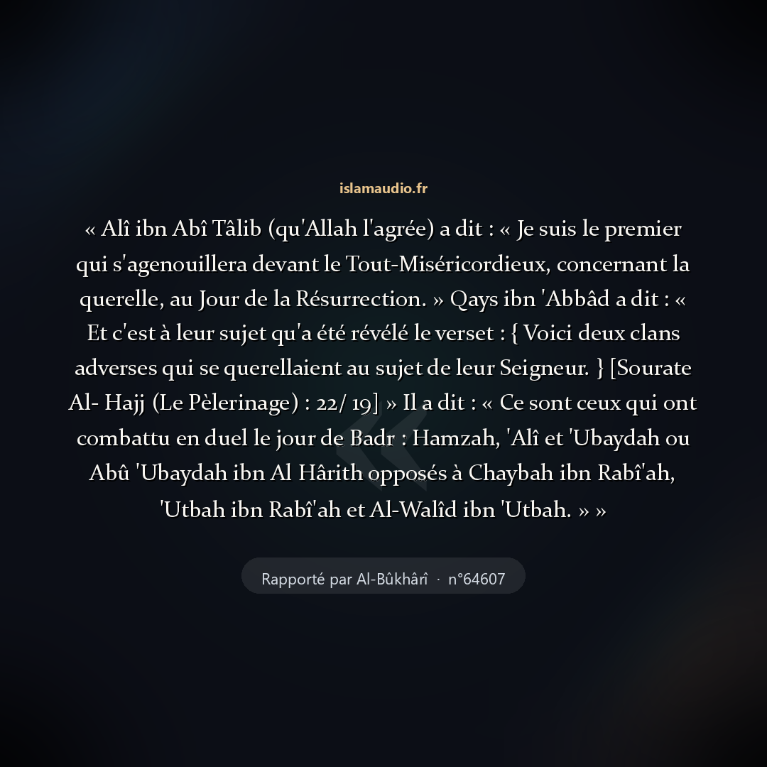 Aperçu du hadith