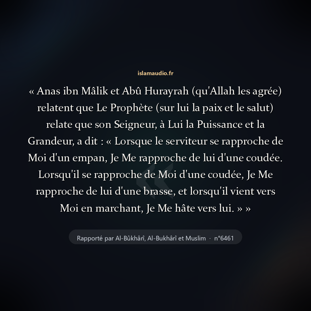 Aperçu du hadith