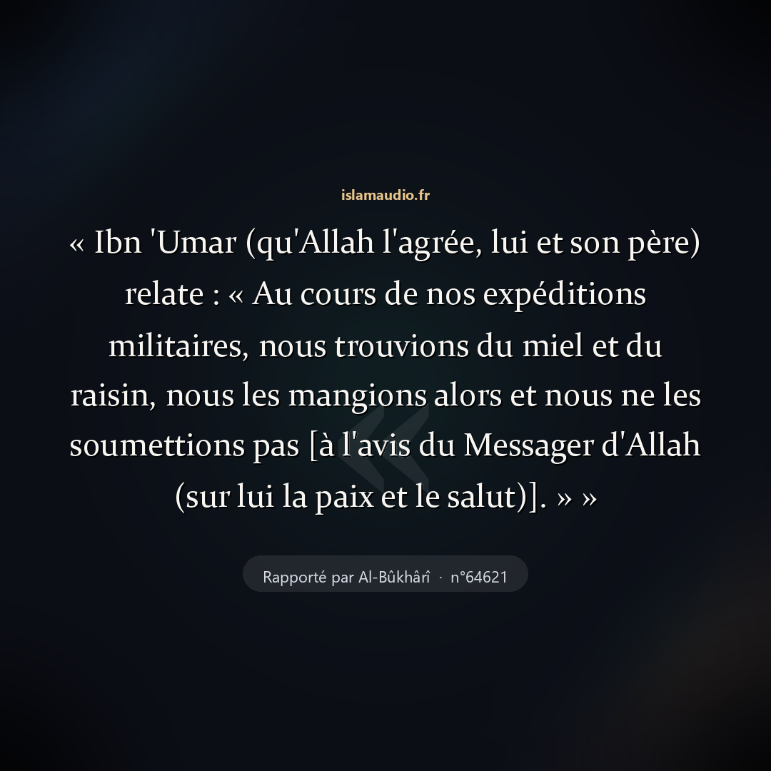 Aperçu du hadith