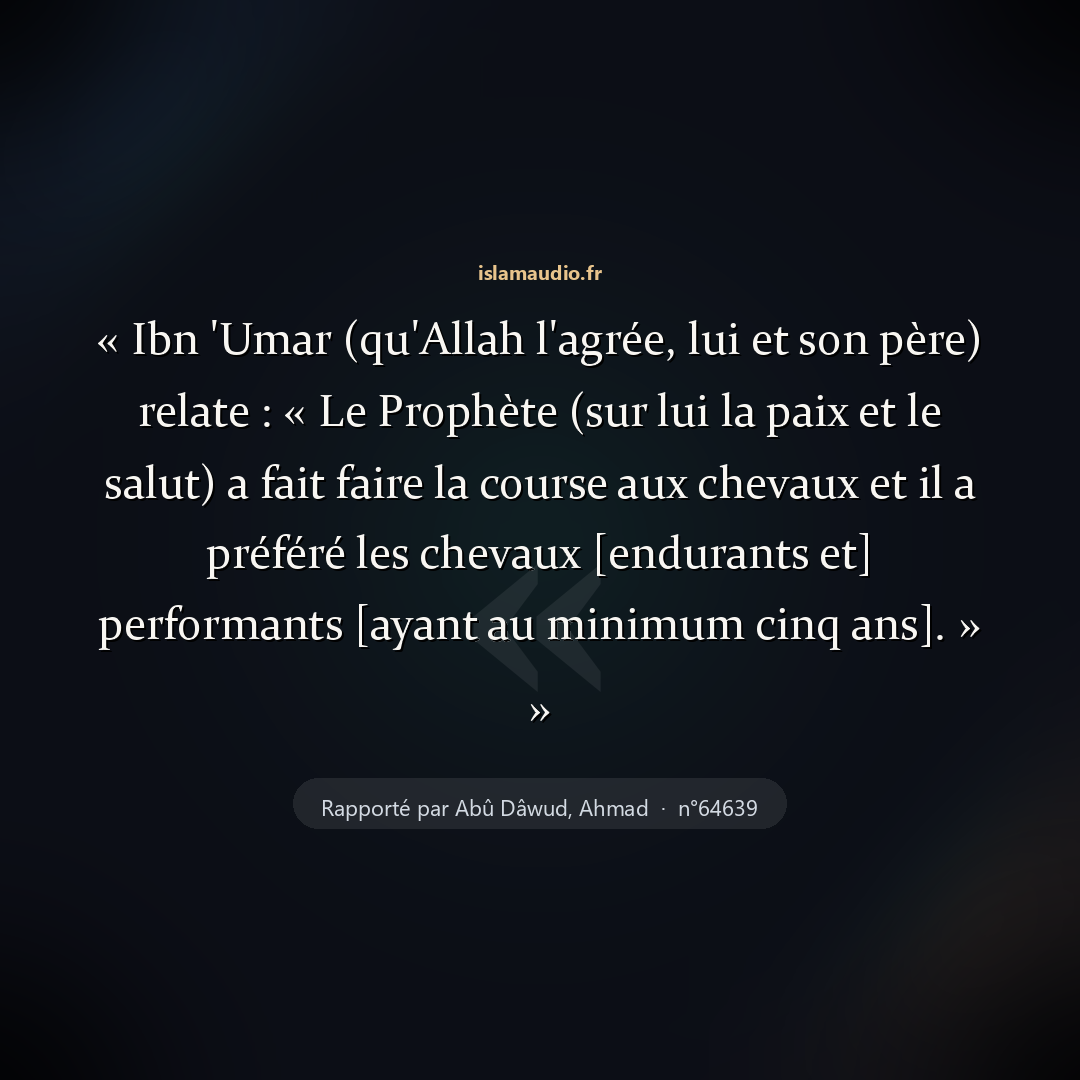 Aperçu du hadith
