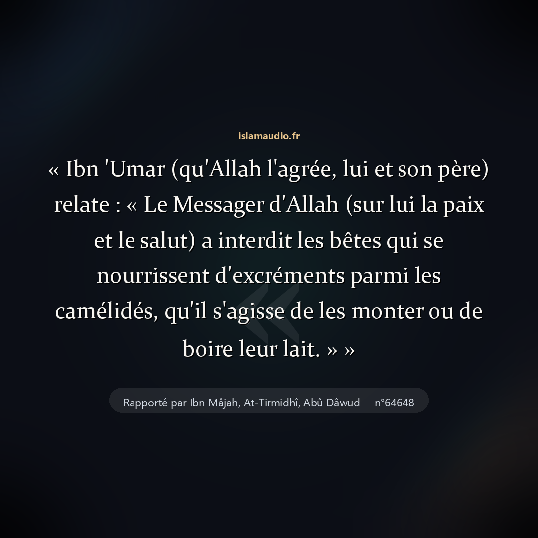 Aperçu du hadith