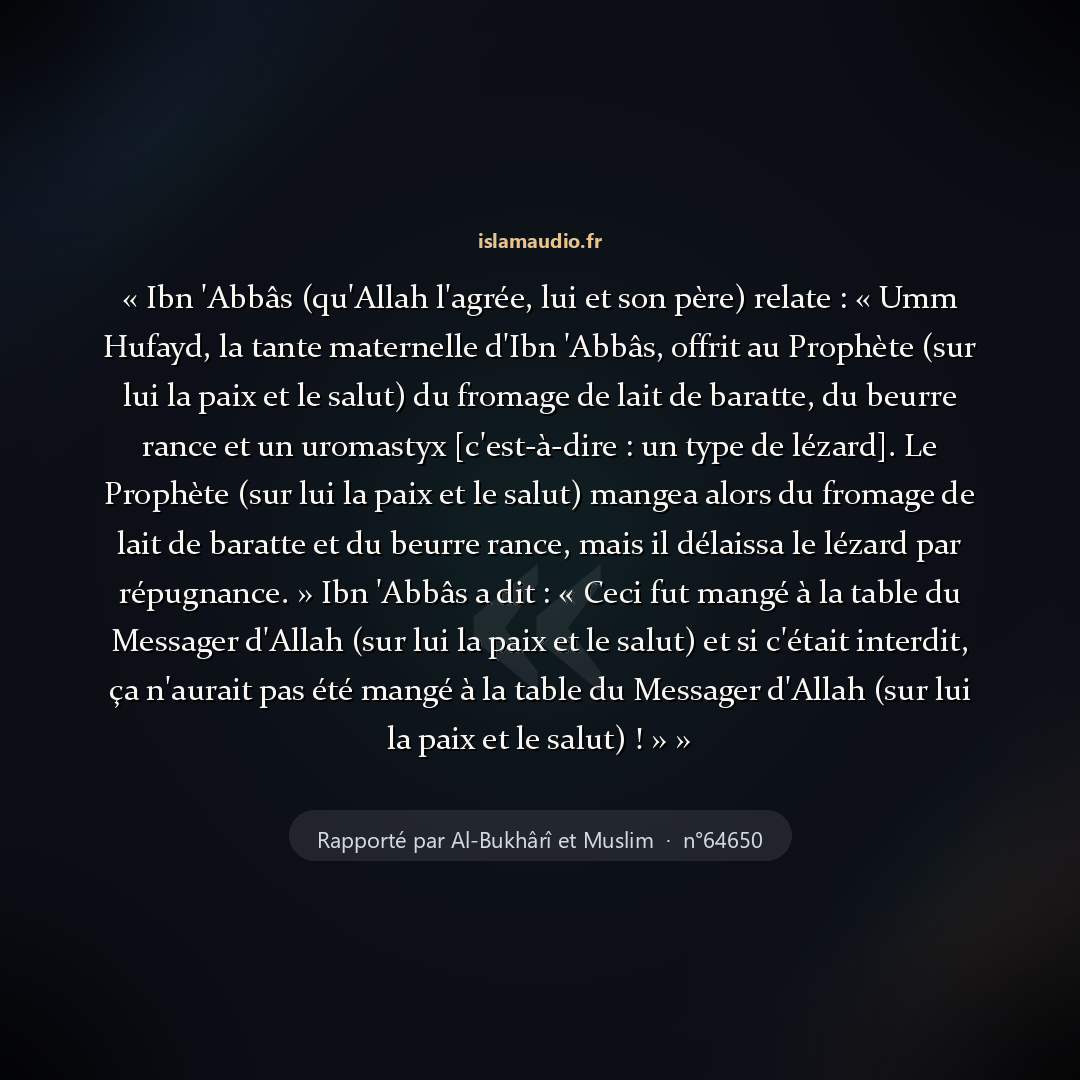 Aperçu du hadith