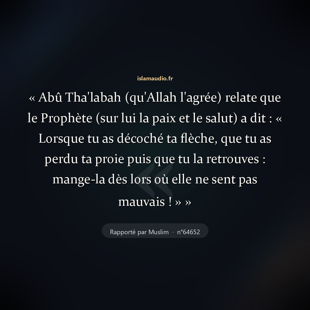 Aperçu du hadith