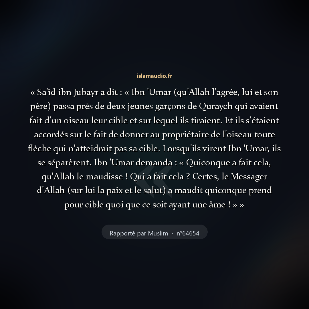 Aperçu du hadith