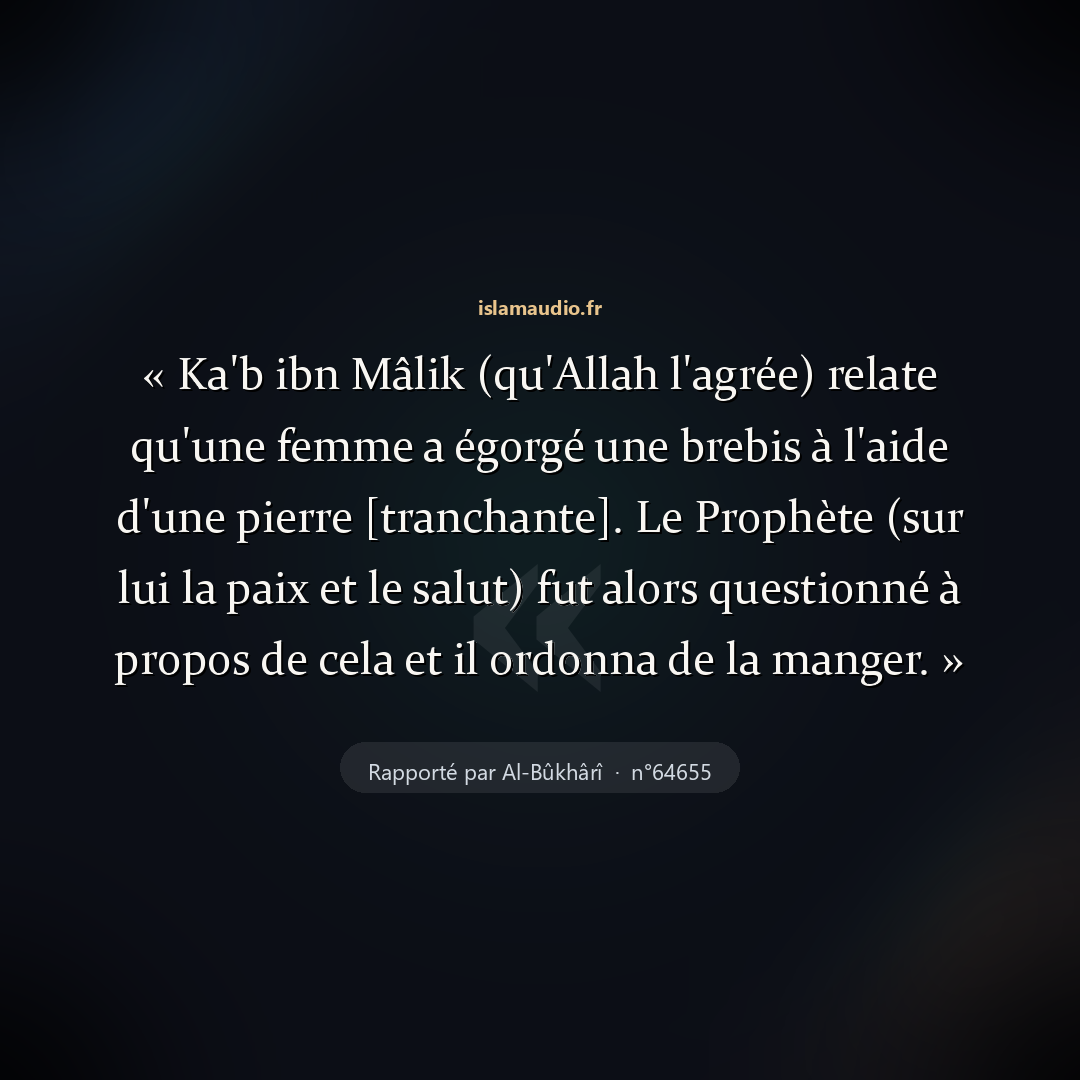 Aperçu du hadith