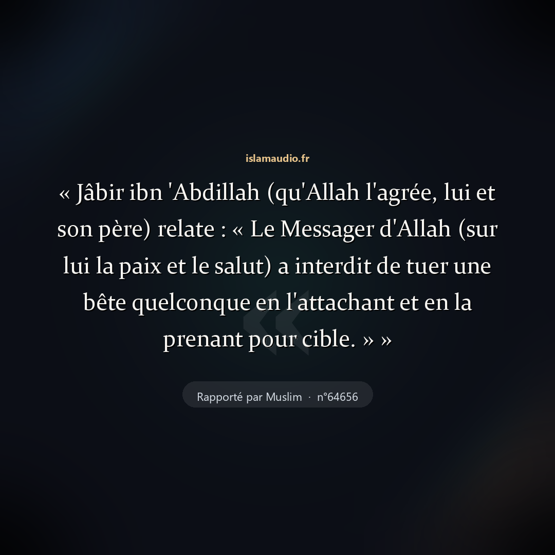 Aperçu du hadith