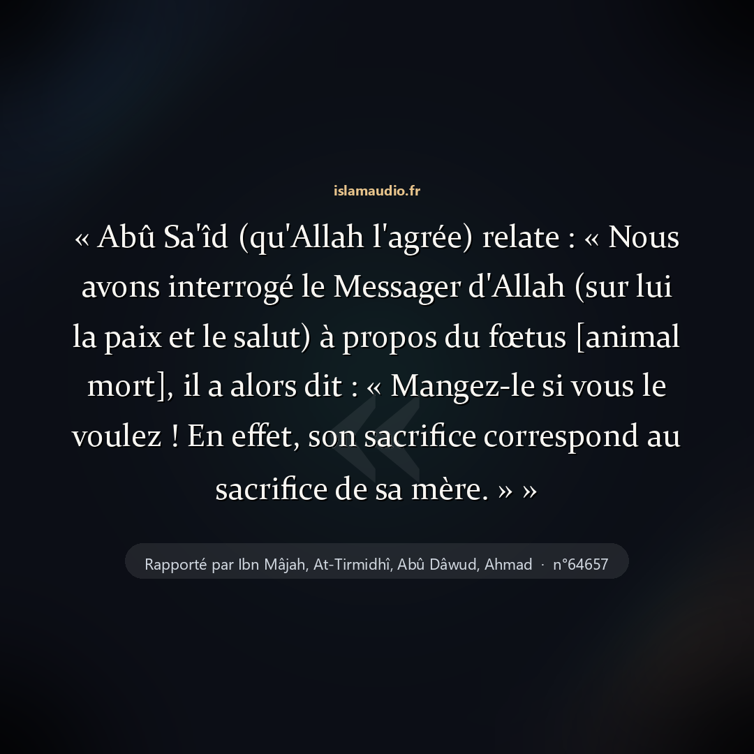 Aperçu du hadith