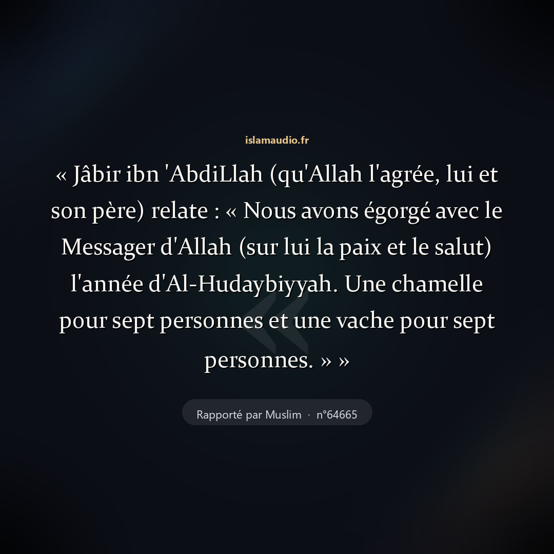 Aperçu du hadith
