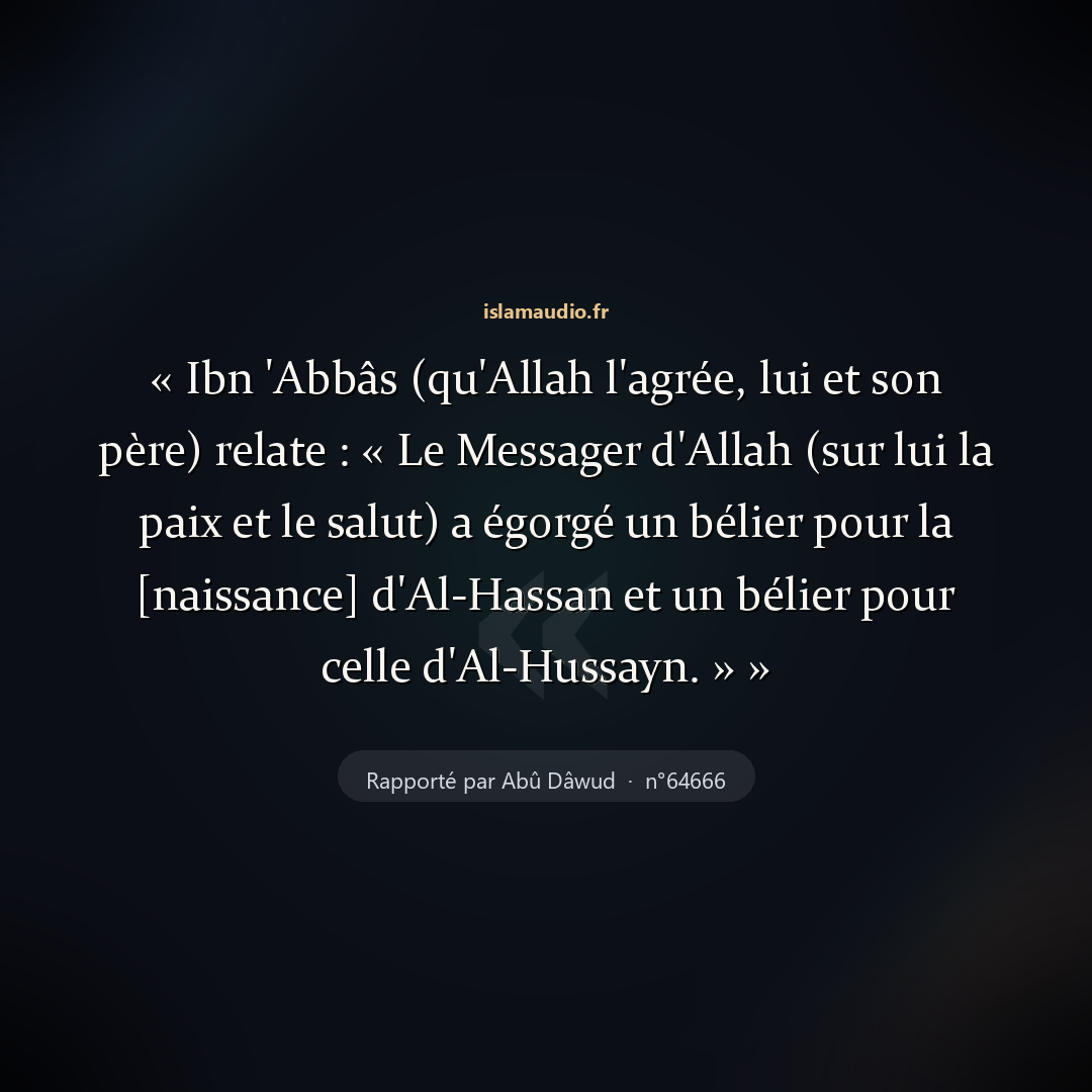 Aperçu du hadith