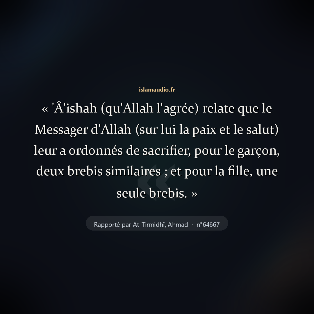 Aperçu du hadith