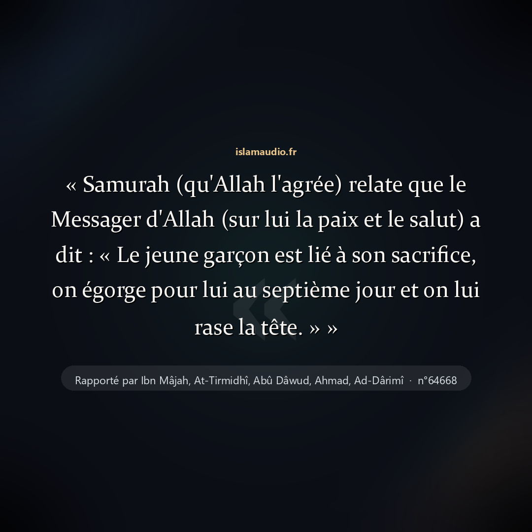 Aperçu du hadith
