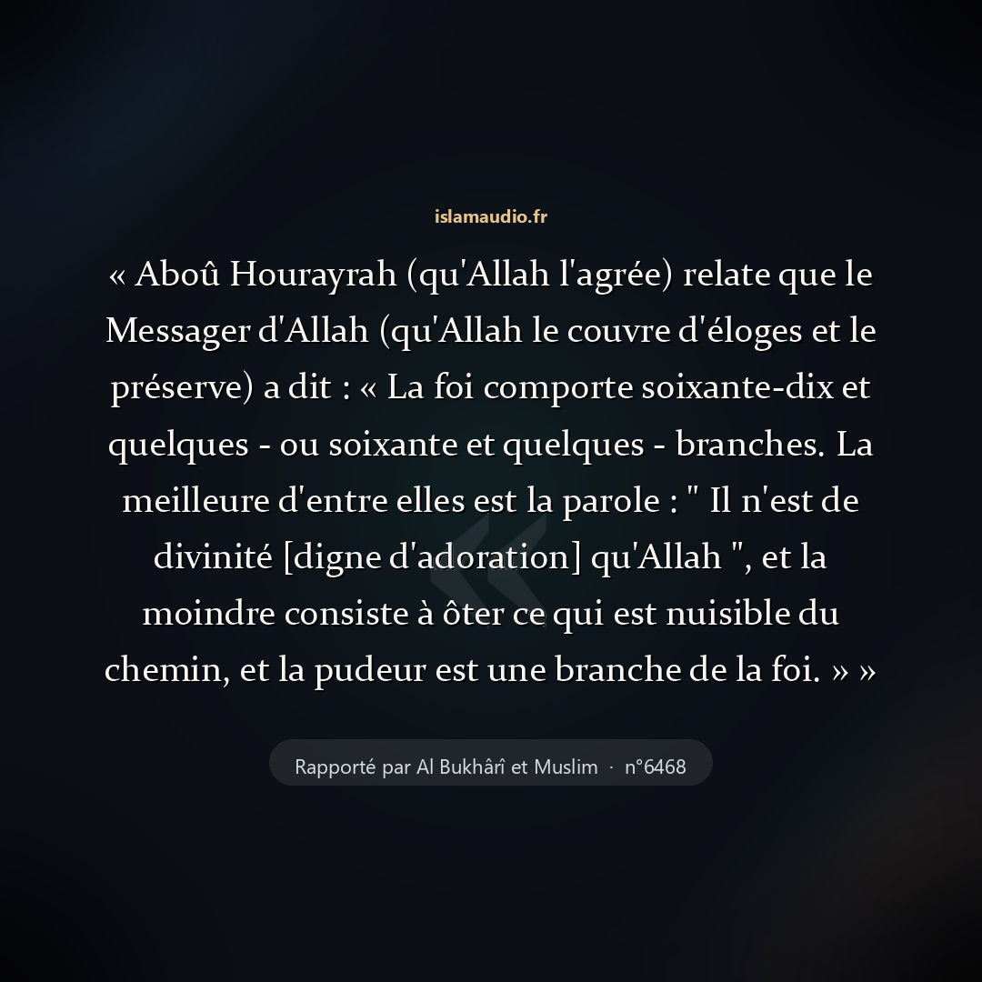 Aperçu du hadith