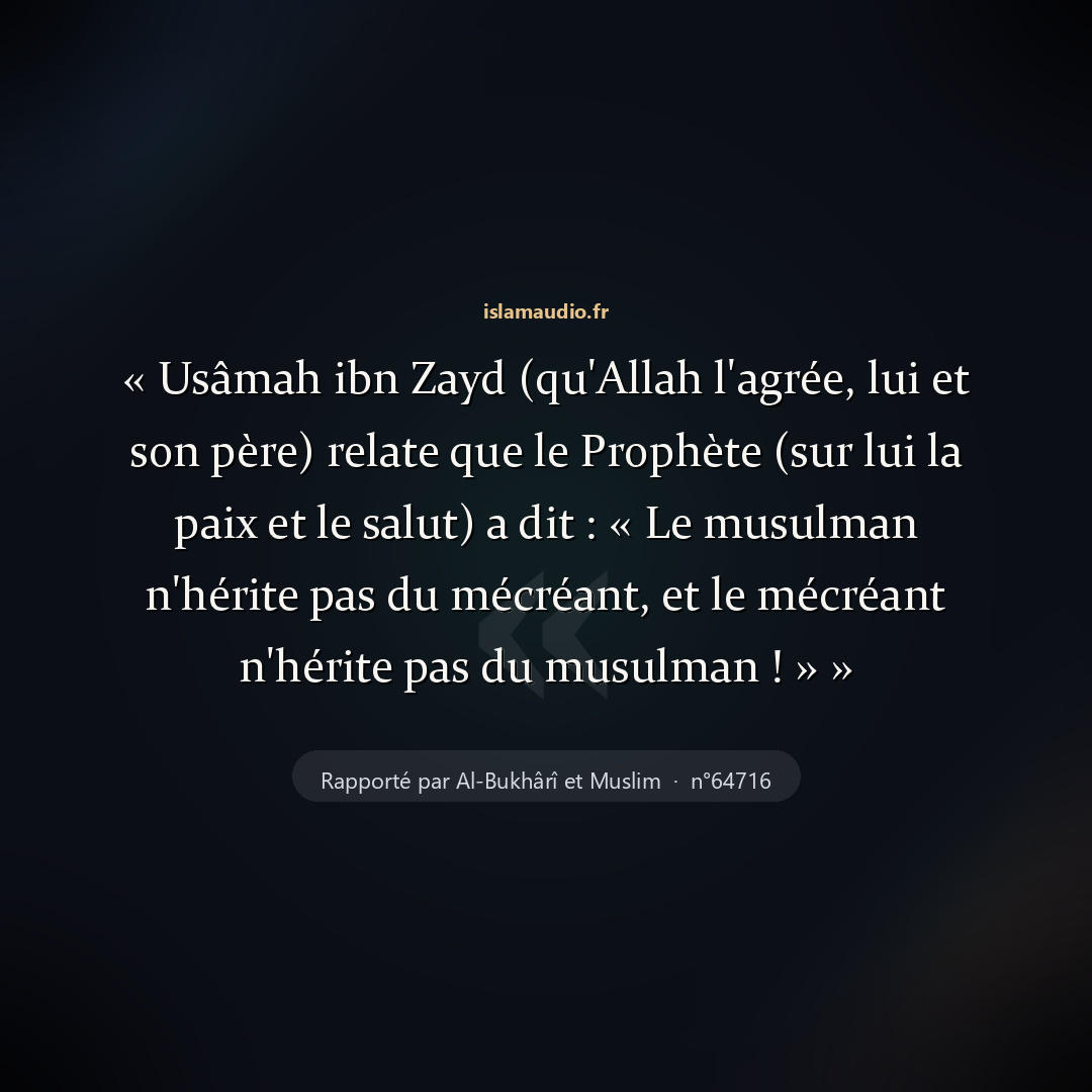 Aperçu du hadith