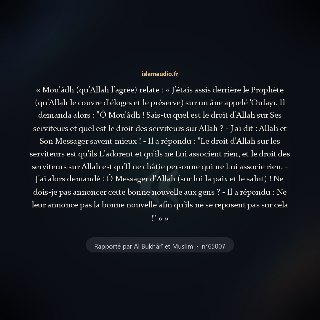 Aperçu du hadith