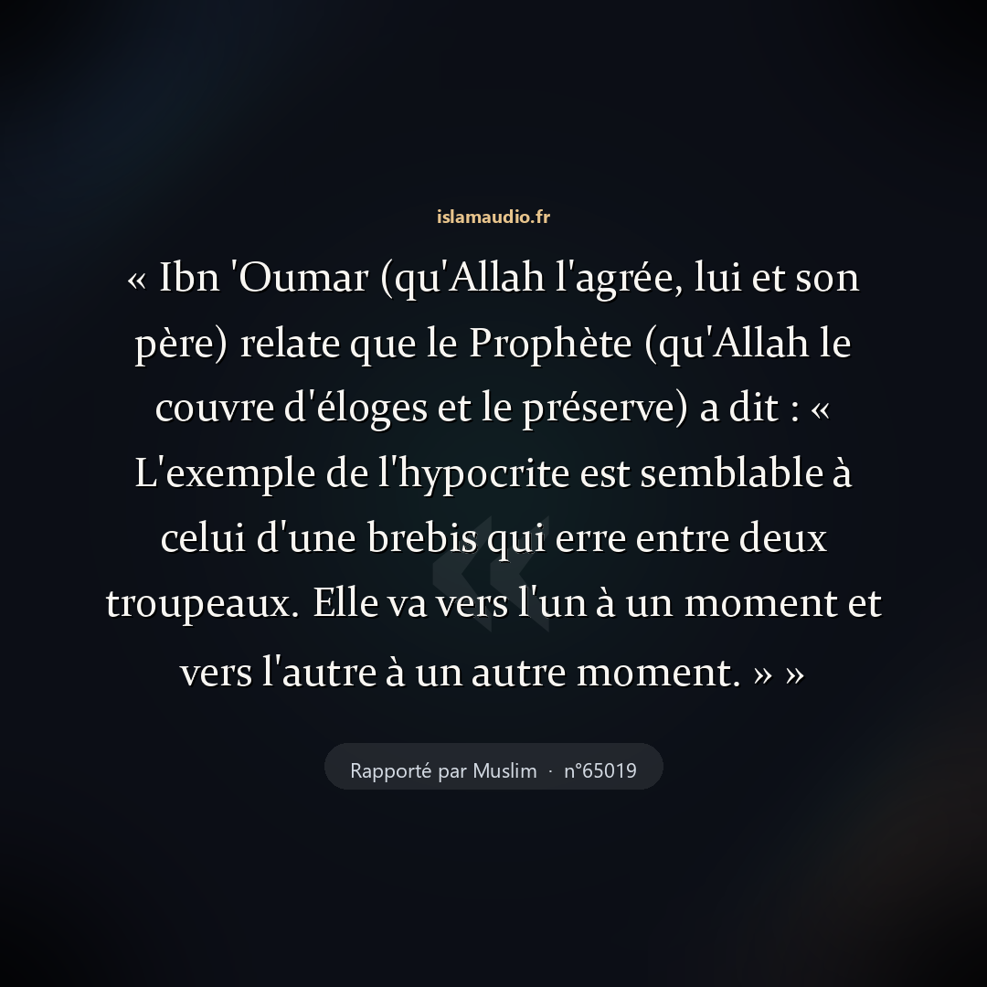 Aperçu du hadith