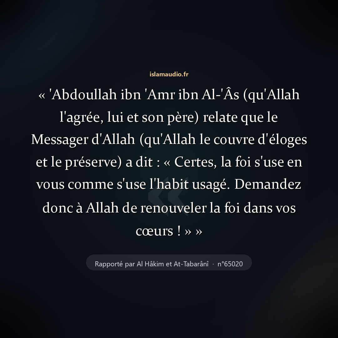 Aperçu du hadith