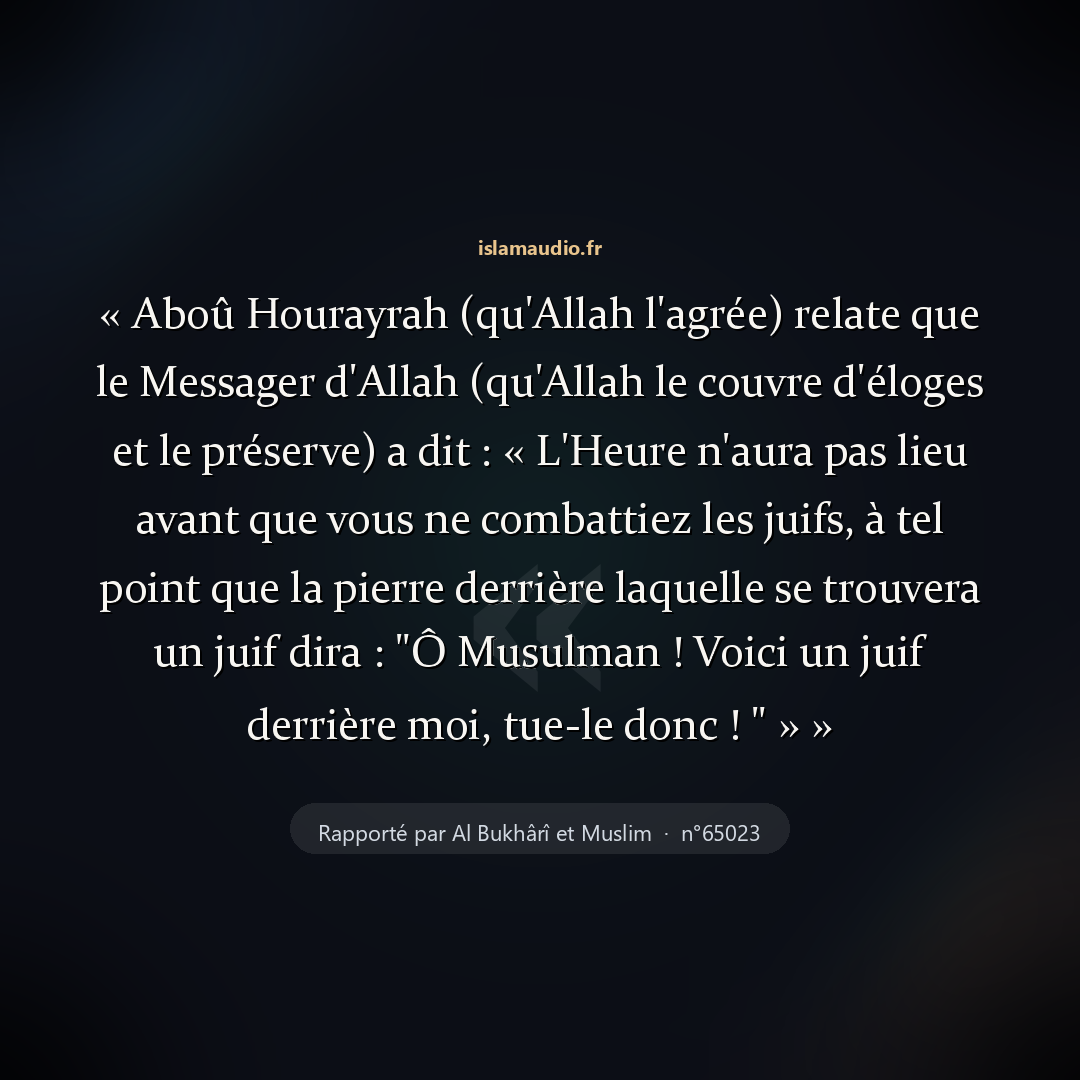 Aperçu du hadith