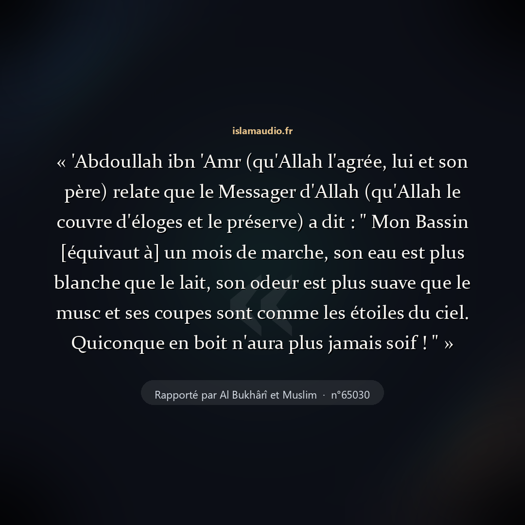 Aperçu du hadith