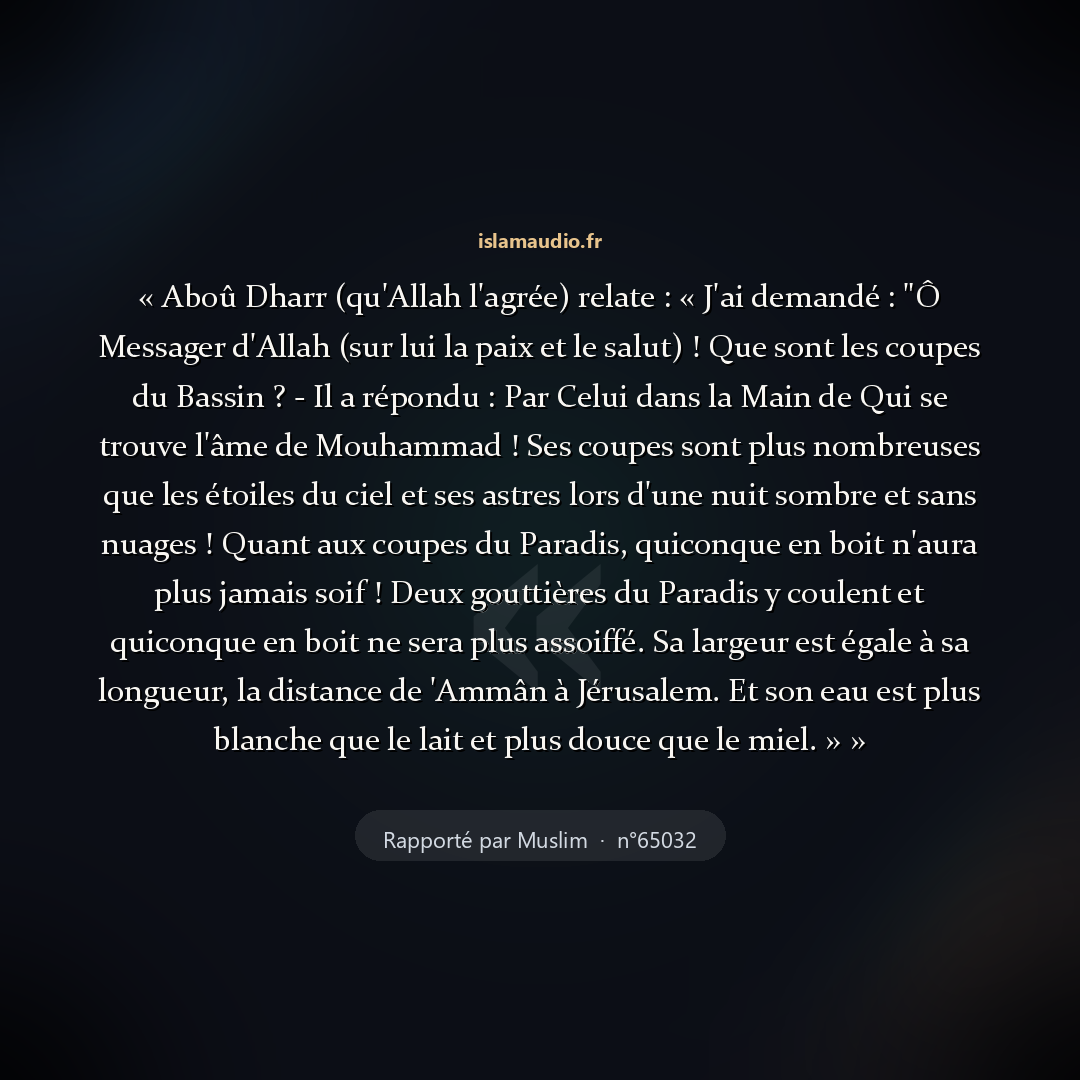 Aperçu du hadith