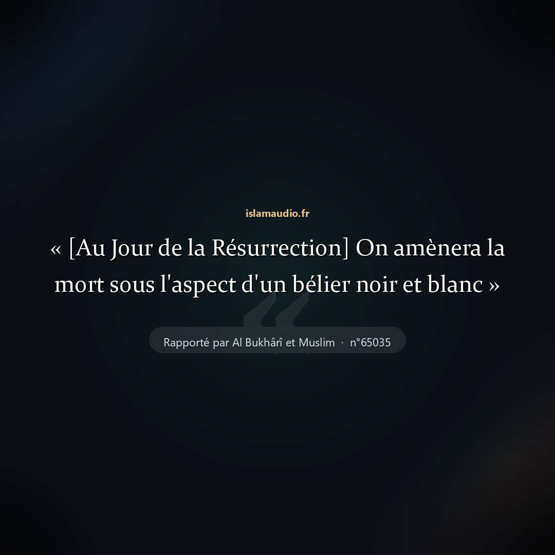 Aperçu du hadith