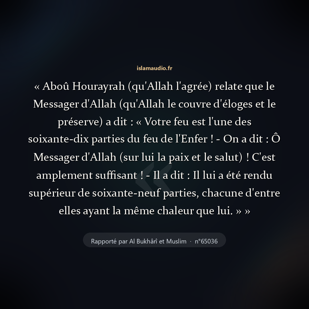 Aperçu du hadith