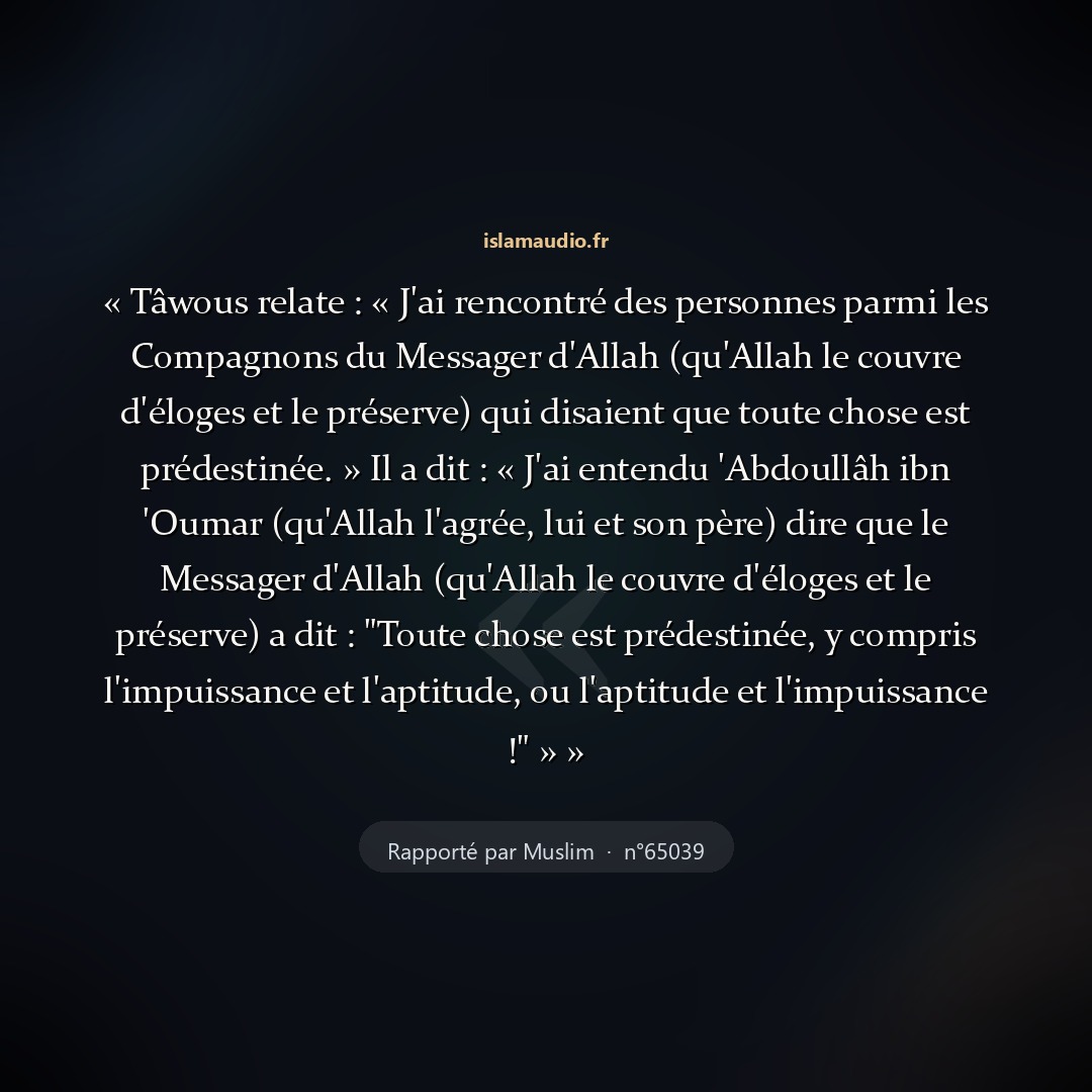 Aperçu du hadith