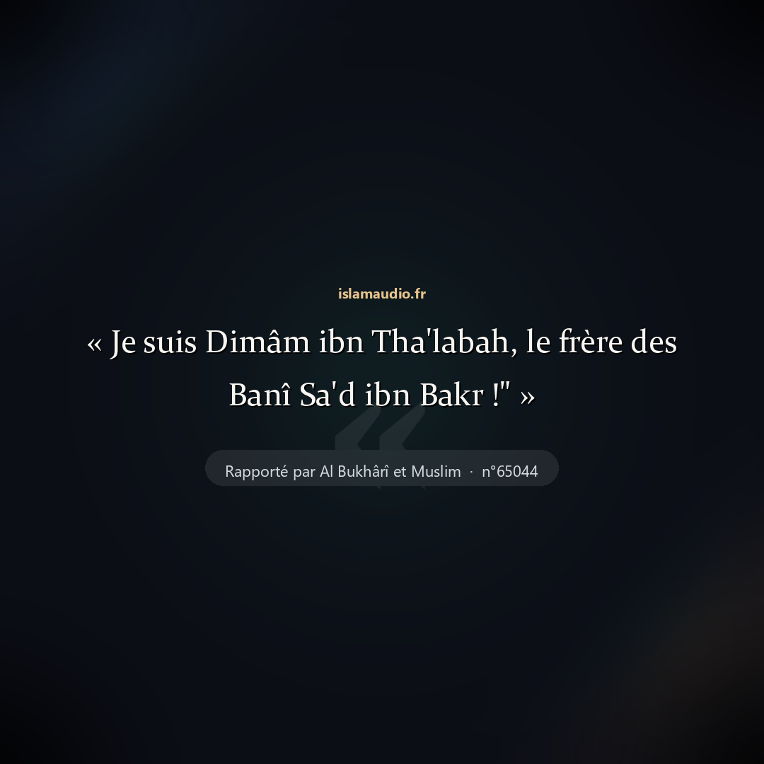 Aperçu du hadith