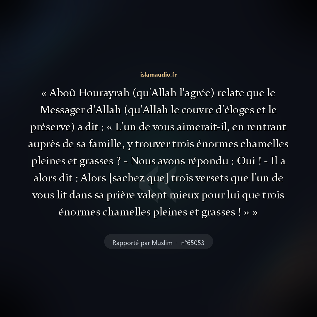 Aperçu du hadith