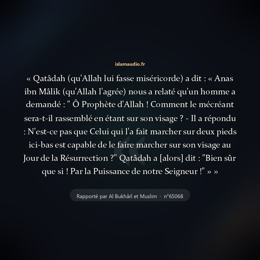 Aperçu du hadith
