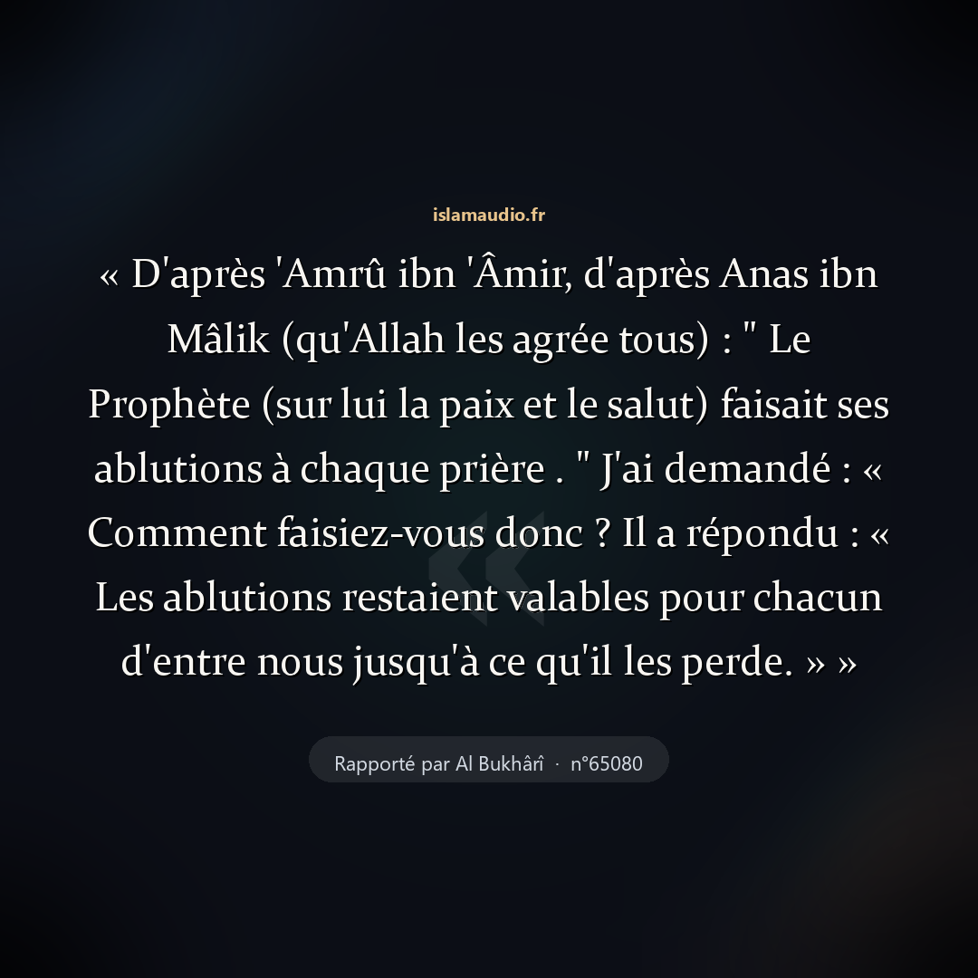 Aperçu du hadith