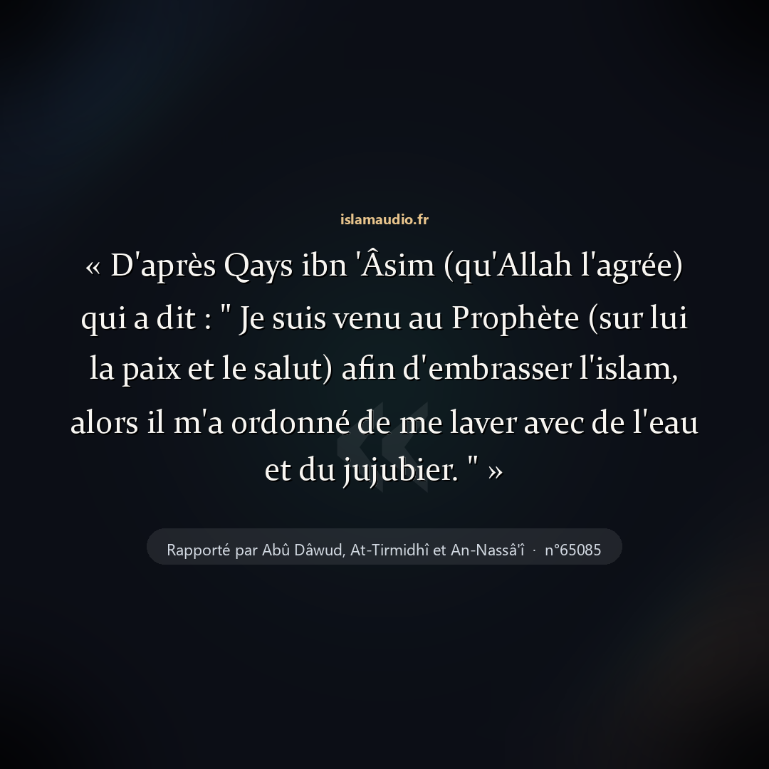 Aperçu du hadith