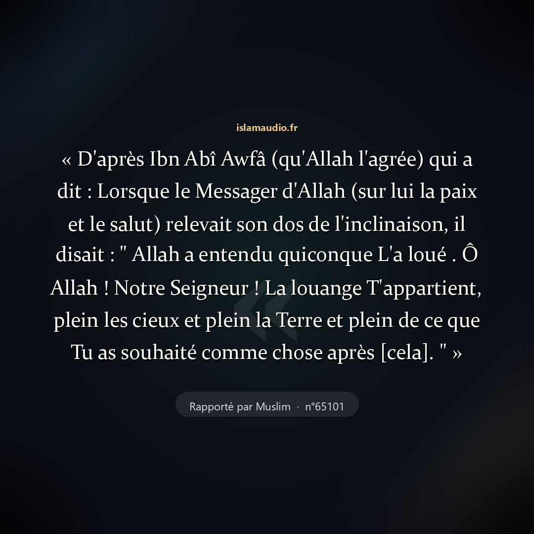 Aperçu du hadith