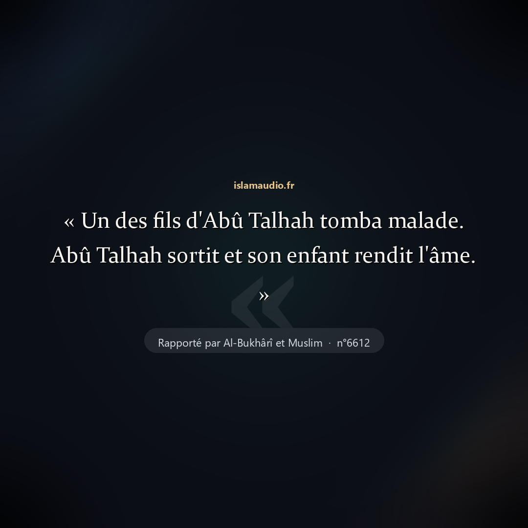 Aperçu du hadith