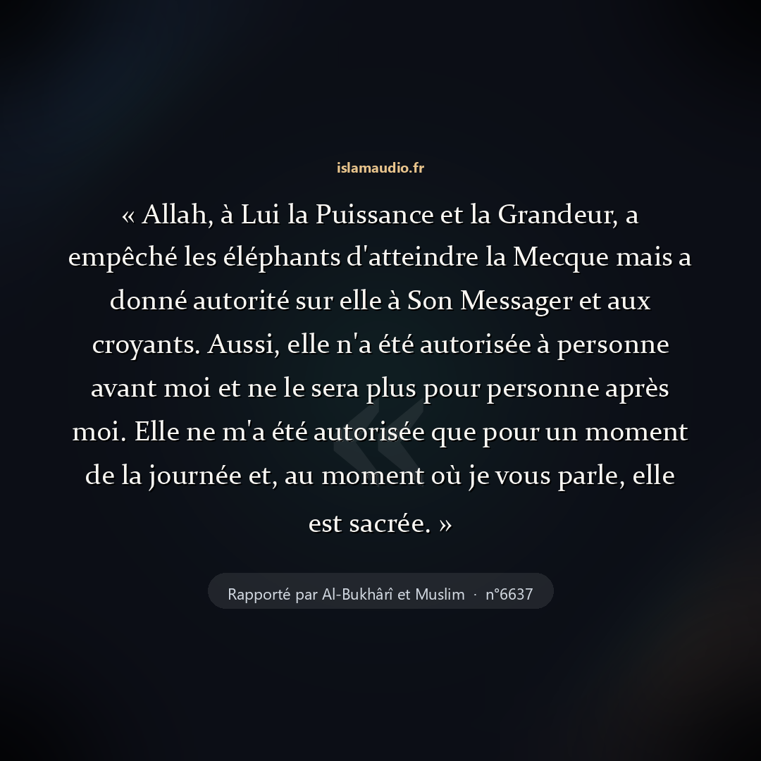 Aperçu du hadith