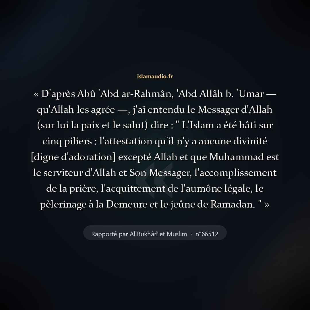 Aperçu du hadith