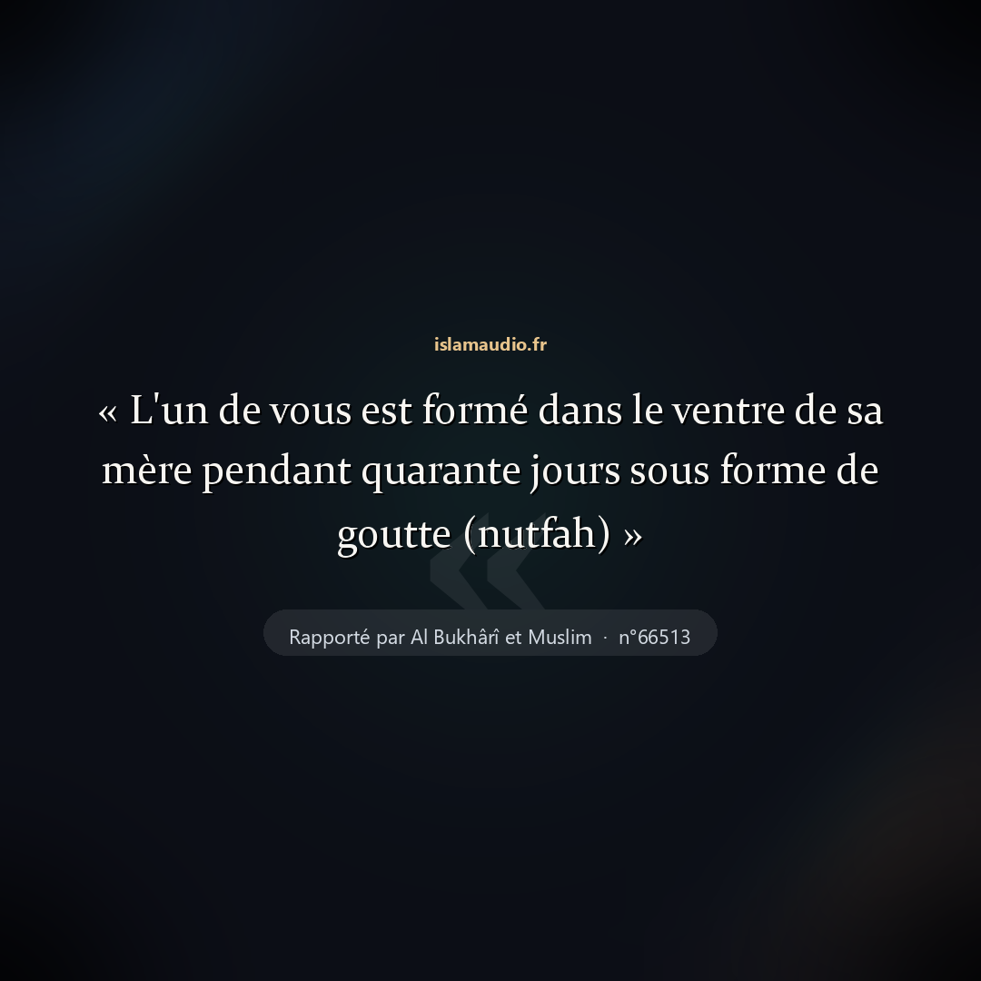 Aperçu du hadith
