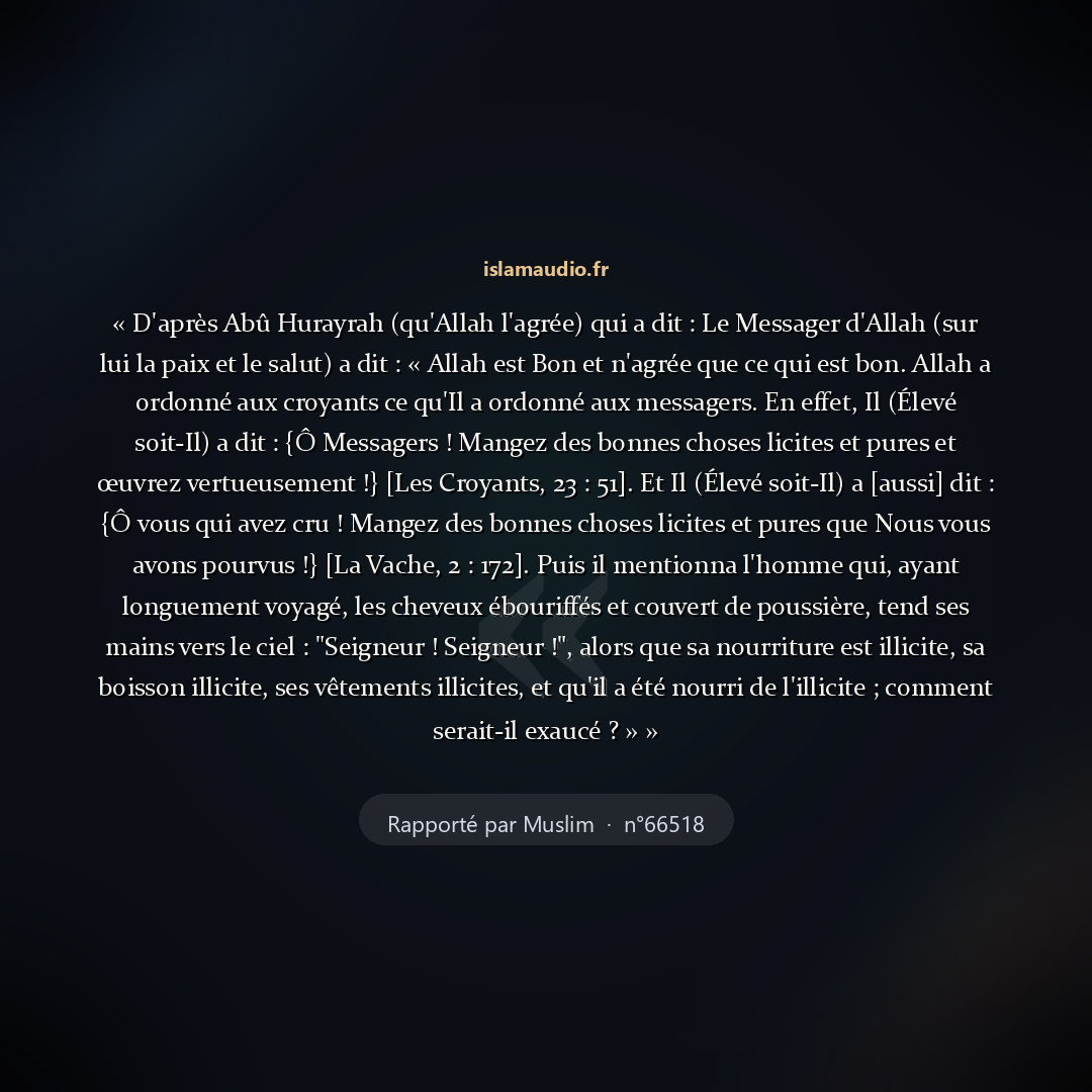Aperçu du hadith