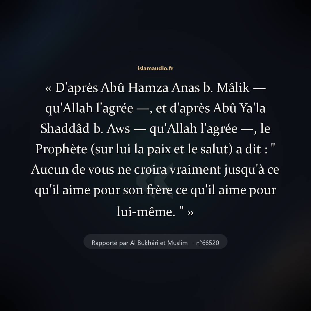 Aperçu du hadith