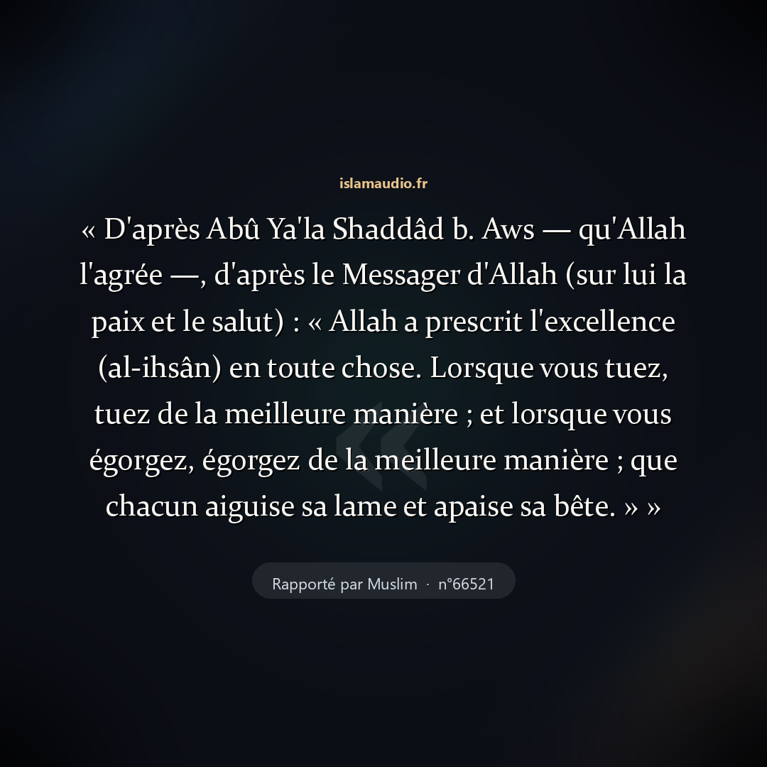 Aperçu du hadith