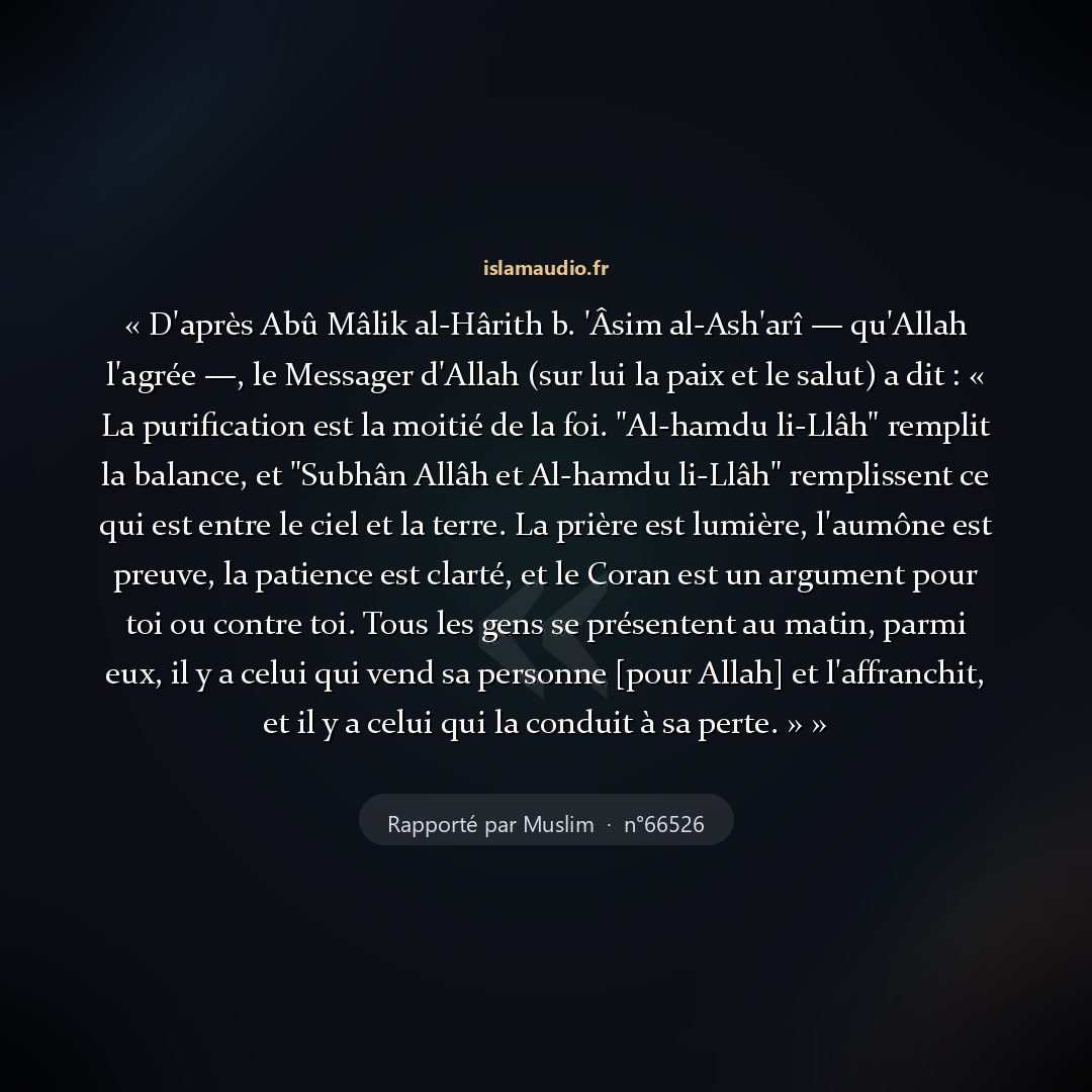 Aperçu du hadith