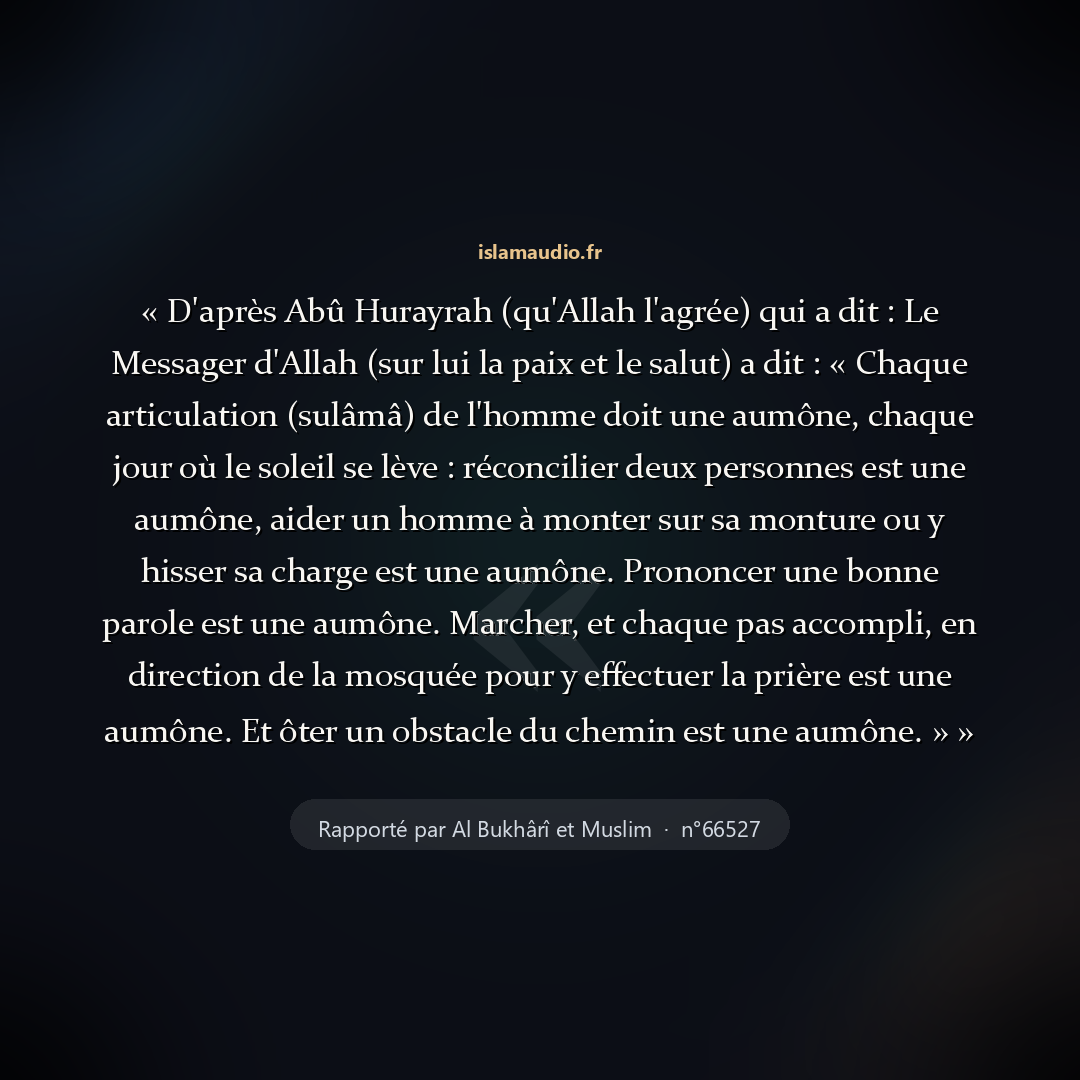 Aperçu du hadith