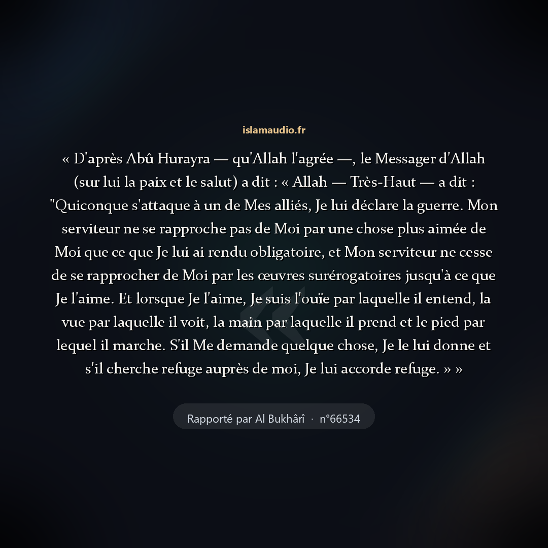 Aperçu du hadith