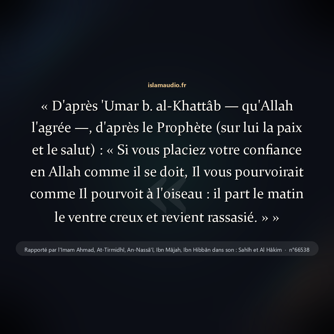Aperçu du hadith