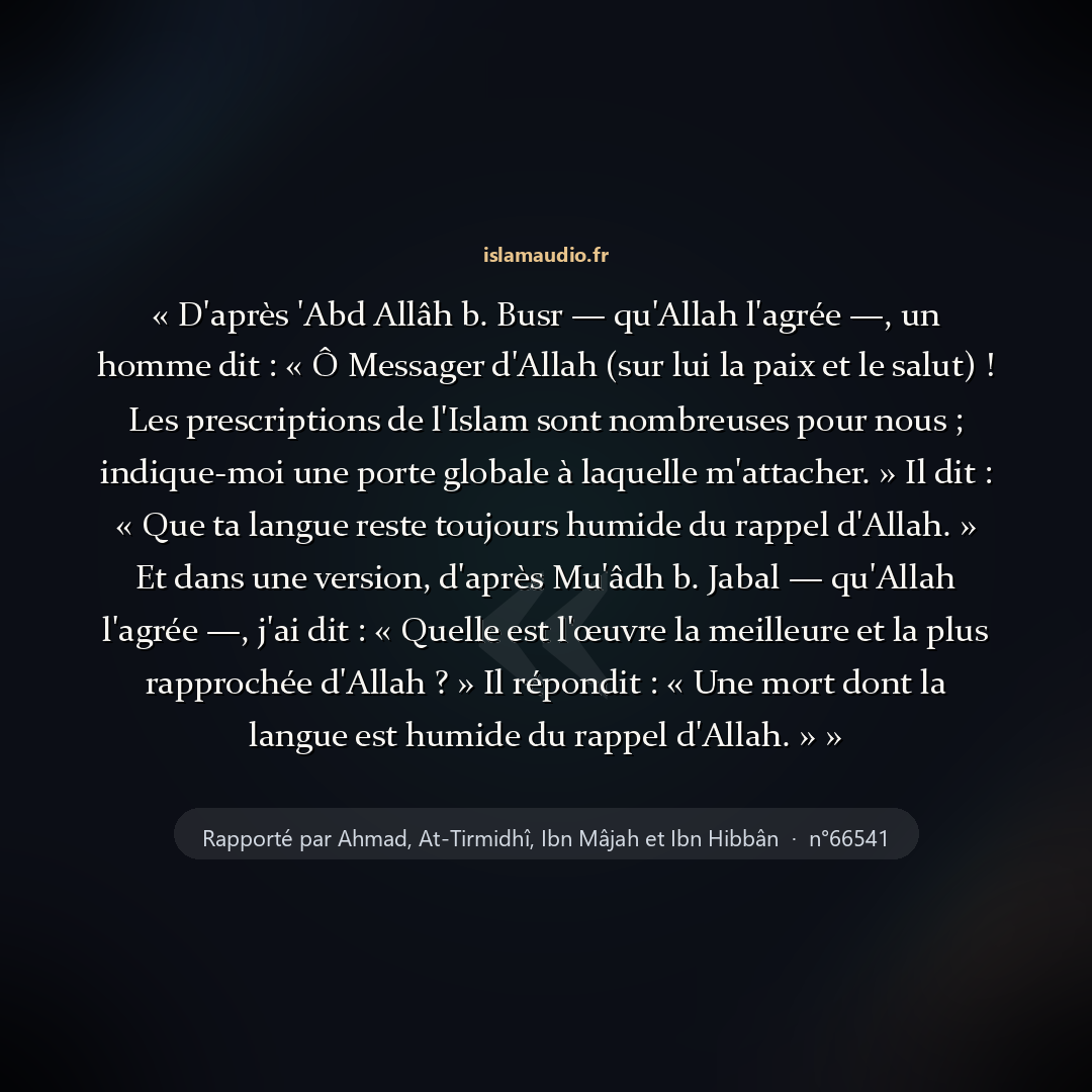 Aperçu du hadith