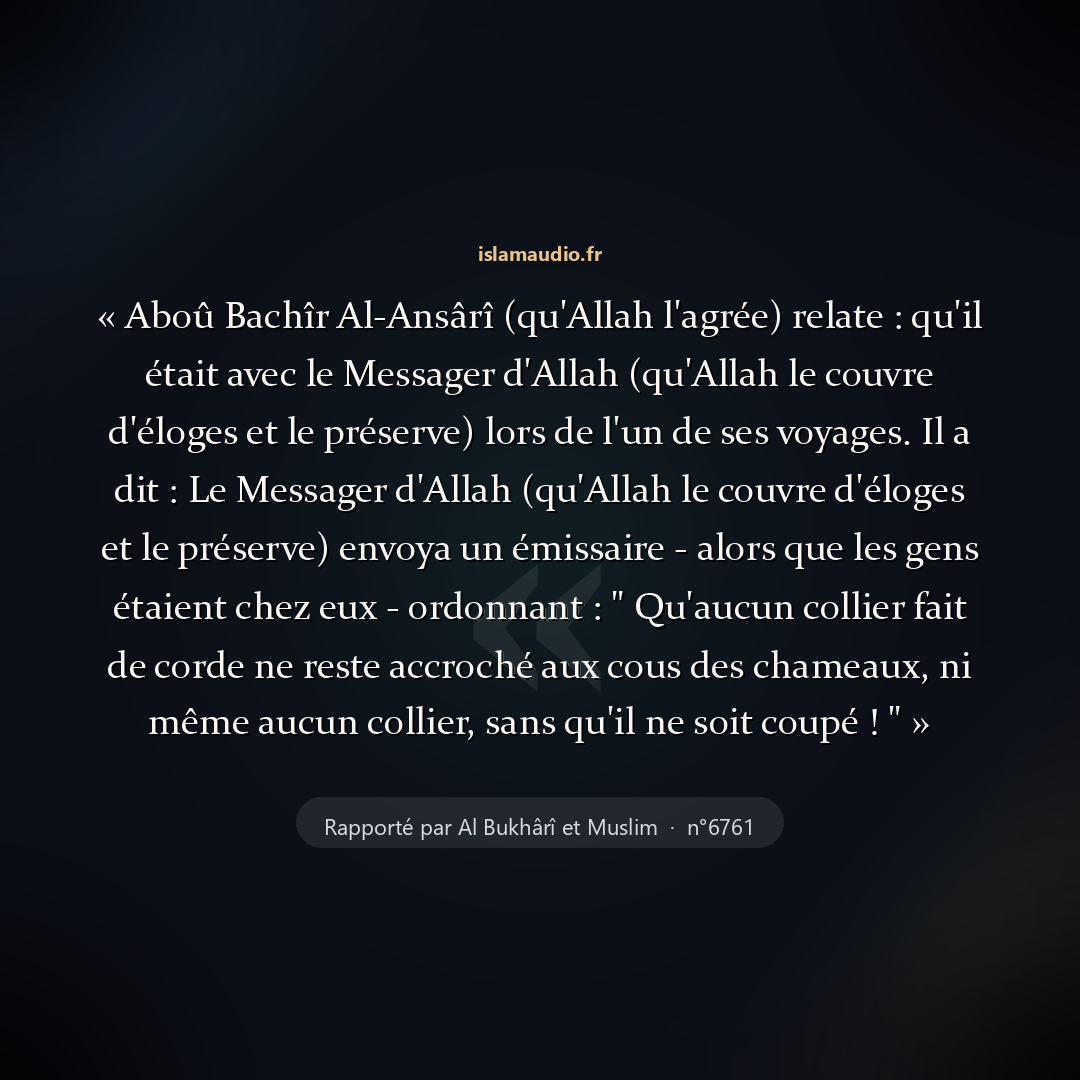 Aperçu du hadith
