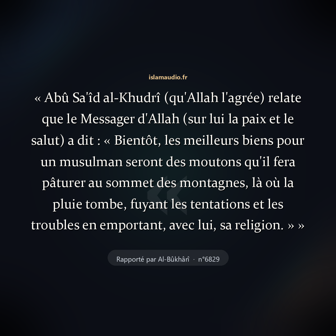 Aperçu du hadith
